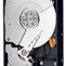 Жесткий диск Western Digital HDD SATA-III  500Gb Black WD5003AZEX, 7200rpm, 64MB  buffer, 1 year